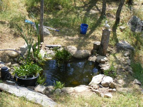 42504 Sierra Dr, Three Rivers, CA 93271 photo 51