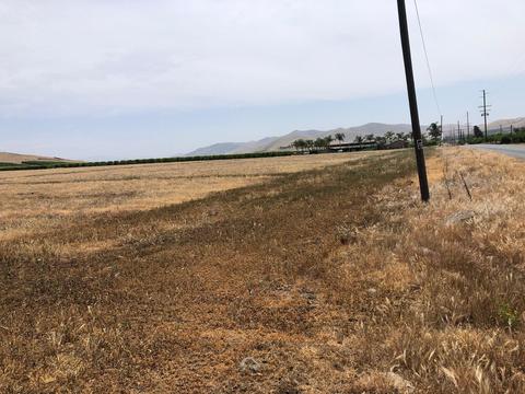 20220 Road 256, Strathmore, CA 93267 photo 4