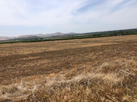 20220 Road 256, Strathmore, CA 93267 photo 1