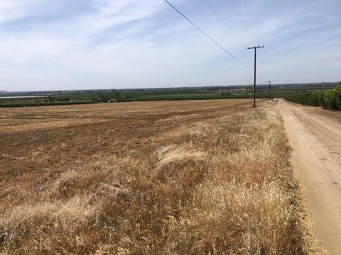20220 Road 256, Strathmore, CA 93267 photo 2