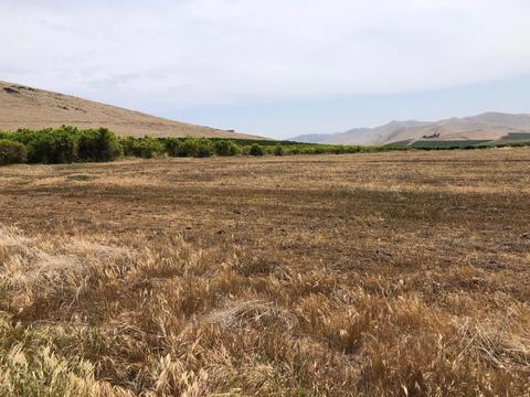 20220 Road 256, Strathmore, CA 93267 photo 6
