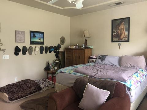 679 Leta Mae Ct, Exeter, CA 93221 photo 9