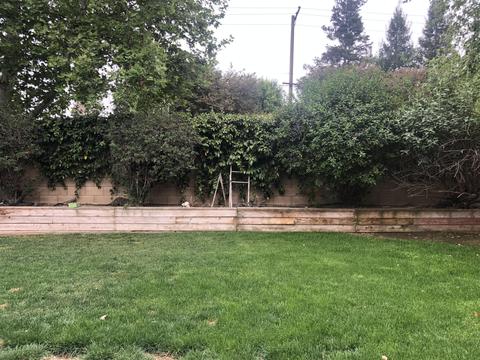 679 Leta Mae Ct, Exeter, CA 93221 photo 15