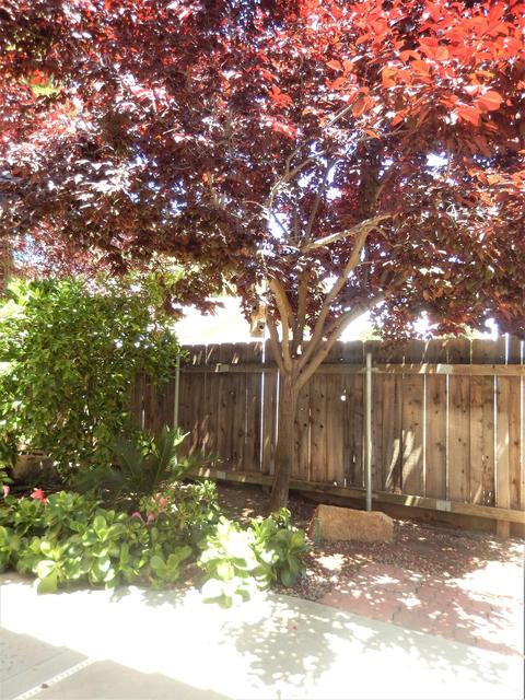 3926 E Auburn Dr, Visalia, CA 93292 photo 33