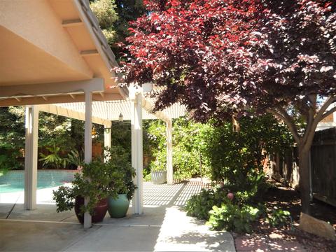 3926 E Auburn Dr, Visalia, CA 93292 photo 31