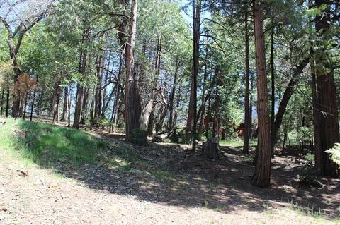 390 View Dr, Springville, CA 93265 photo 29