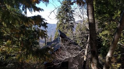 54958 Alder Dr, Sequoia Crest, CA 93265 photo 2