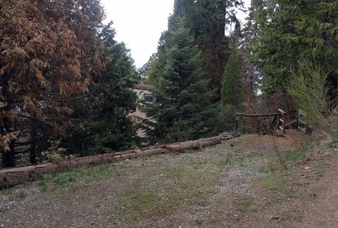 54958 Alder Dr, Sequoia Crest, CA 93265 photo 3