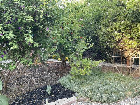 6020 W Iris Ct, Visalia, CA 93277 photo 37