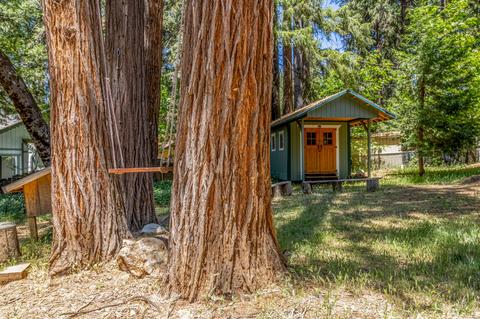 6355 Pine St, Pollock Pines, CA 95726 photo 23