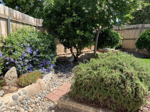 1269 Vine St, Exeter, CA 93221 photo 26