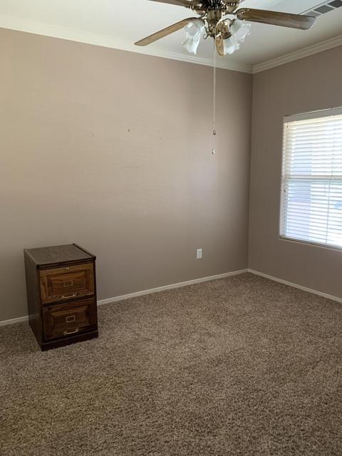 1269 Vine St, Exeter, CA 93221 photo 19