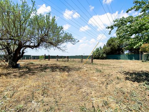 31175 Tower Rd, Visalia, CA 93292 photo 34