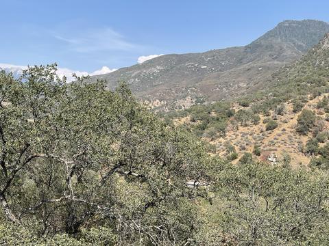 46685 Sycamore #B, Three Rivers, CA 93271 photo 22