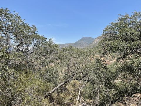 46685 Sycamore #B, Three Rivers, CA 93271 photo 16