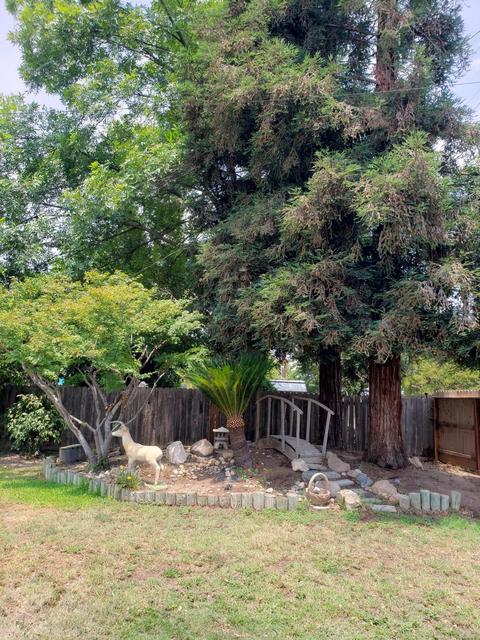 836 Post St, Sanger, CA 93657 photo 25
