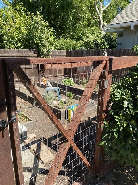 2627 E Harvard Ct, Visalia, CA 93292 photo 50