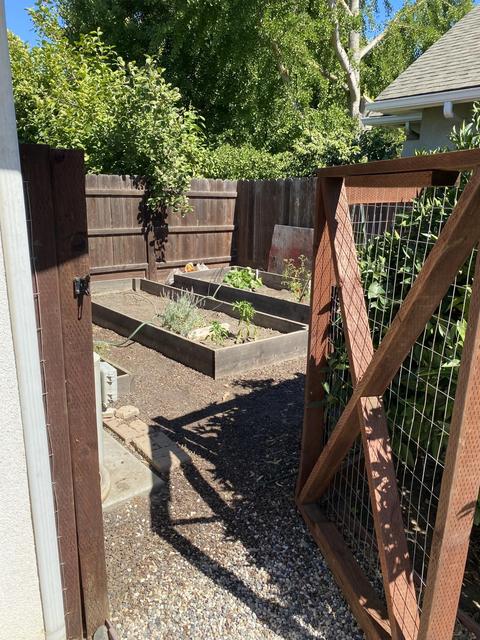 2627 E Harvard Ct, Visalia, CA 93292 photo 51