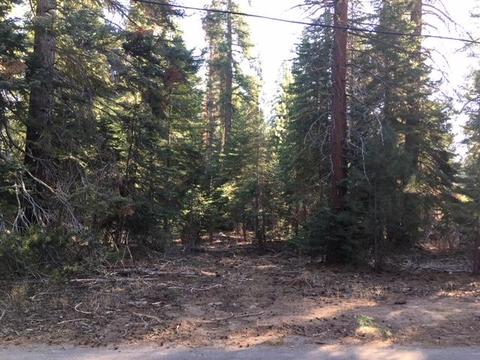 58256 Meadow Lane Ln, Springville, CA 93265