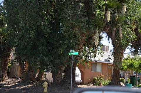 15868 Avenue 330, Ivanhoe, CA 93235 photo 2