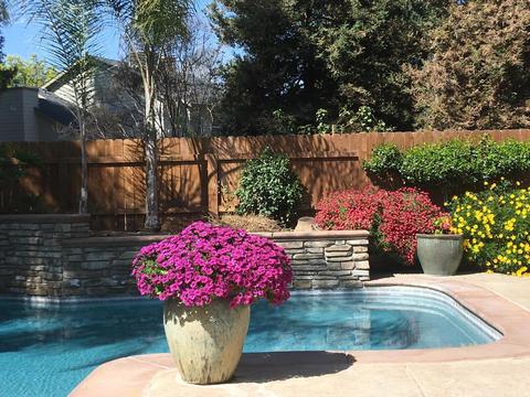 624 Rolling Hills St, Exeter, CA 93221 photo 47