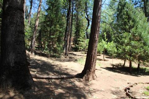 674 Loop Dr, Springville, CA 93265 photo 45