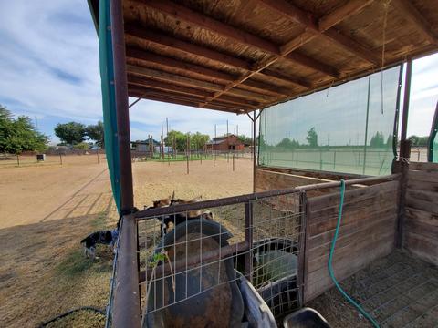 22138 Avenue 314, Exeter, CA 93221 photo 17