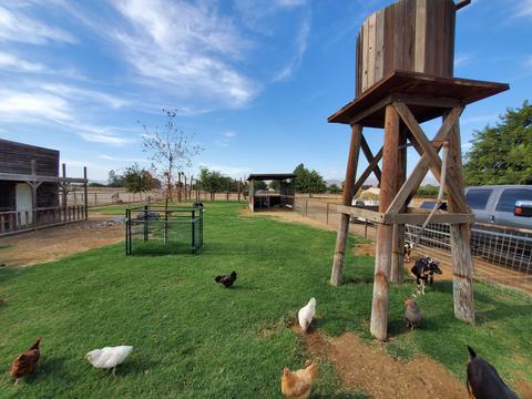 22138 Avenue 314, Exeter, CA 93221 photo 52