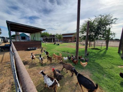 22138 Avenue 314, Exeter, CA 93221 photo 8