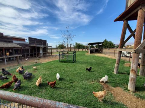 22138 Avenue 314, Exeter, CA 93221 photo 7