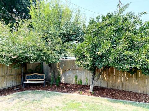 934 W Feemster Ave, Visalia, CA 93277 photo 34