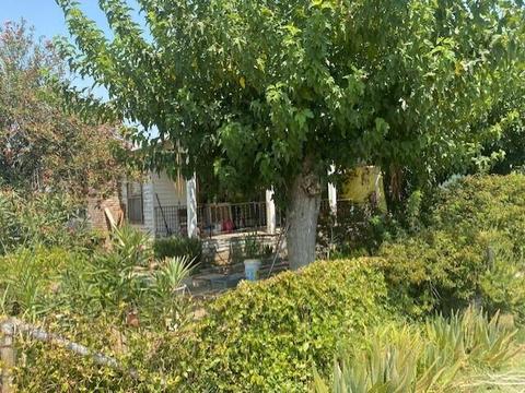 601 E Tulare St, Avenal, CA 93204 photo 4