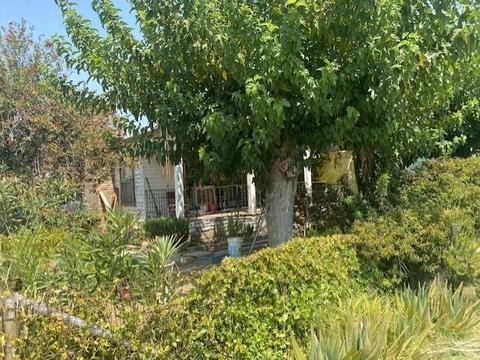 601 E Tulare St, Avenal, CA 93204 photo 5