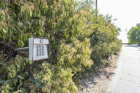 30480 Road 196, Exeter, CA 93221 photo 2