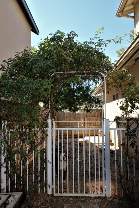 627 Danae Ct, Exeter, CA 93221 photo 25