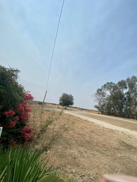 19357 Road 248, Strathmore, CA 93267 photo 4