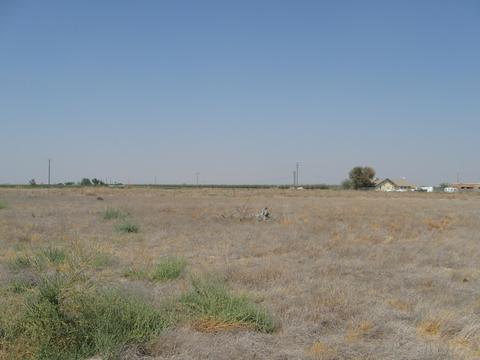 5370 30, Alpaugh, CA 93201 photo 15