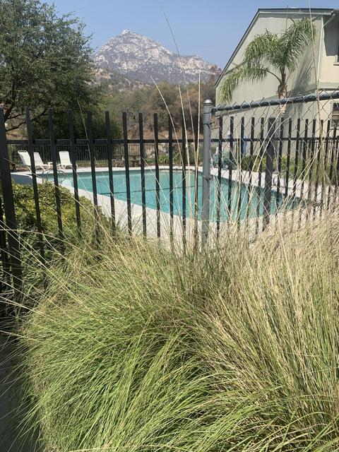 45419 Sierra Dr, Three Rivers, CA 93271 photo 12