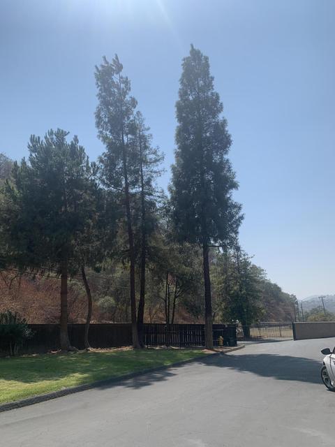 45419 Sierra Dr, Three Rivers, CA 93271 photo 14