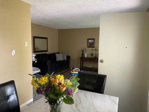 561 N Newman Rd, Tipton, CA 93272 photo 3