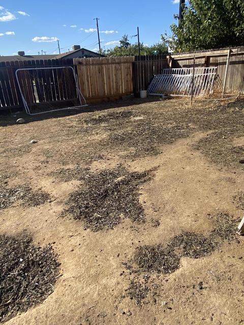 1728 E Olive Way, Dinuba, CA 93618 photo 22