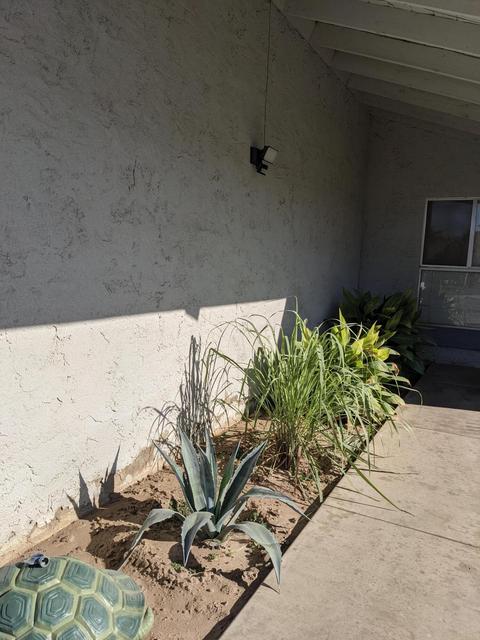 2825 E Norman Dr, Visalia, CA 93292 photo 4