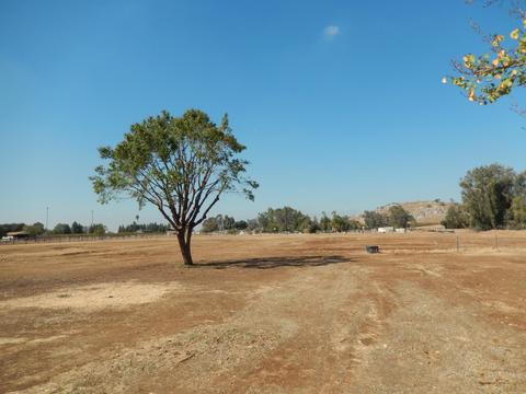 30669 Hamilton Dr, Exeter, CA 93221 photo 49