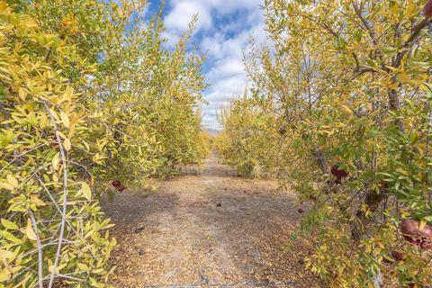 30778 Bliss Dr, Exeter, CA 93221 photo 71