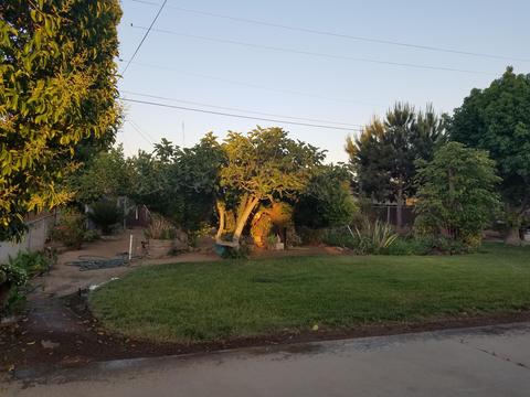 462 3rd St, Lindsay, CA 93247 photo 31