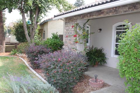 3905 E Harold Ave, Visalia, CA 93292 photo 4