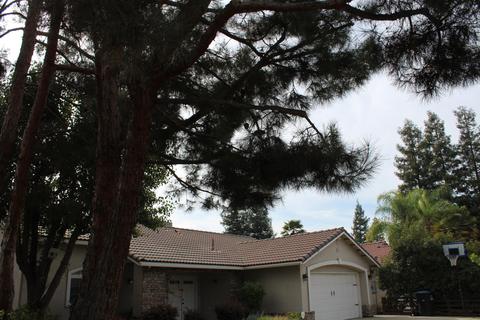 3905 E Harold Ave, Visalia, CA 93292 photo 33