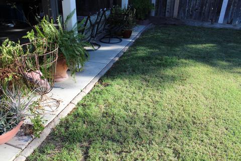 3905 E Harold Ave, Visalia, CA 93292 photo 34