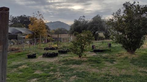 35351 Lenard St, Springville, CA 93265 photo 31