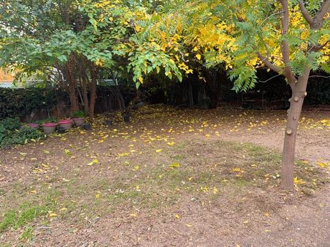 2935 S Willis Ct, Visalia, CA 93277 photo 12